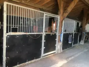 D1304949-EE48-4EF0-B281-3E1035443110