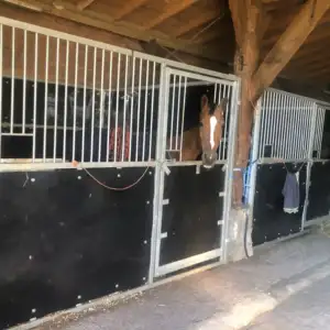 concoursboxen